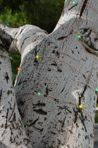Solar Powered 200 LED 72ft Copper Wire Fairy Light 72' - 8 Light Modes