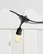 Ambience Pro LED Plug-in String Lights