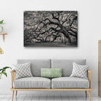 Monochrome Angel Oak Tree Canvas Wall Art