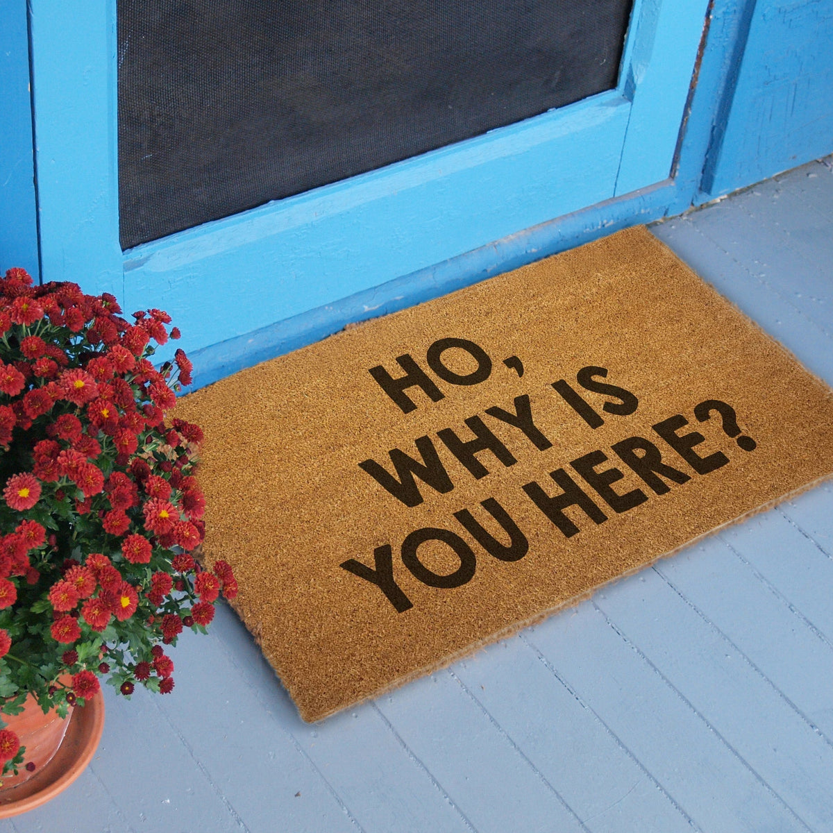 Ho, Why is You Here? Door Mat